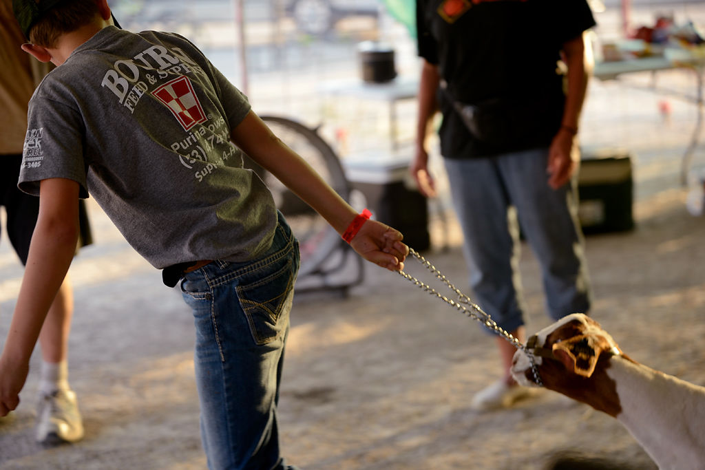 Cooper Skouby, 9, attempts to bring his goat Bud to the auction tent